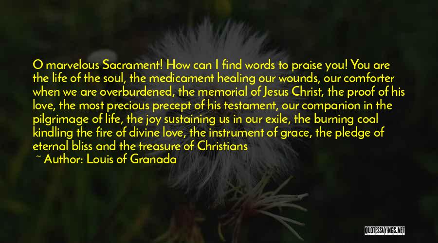 Louis Of Granada Quotes: O Marvelous Sacrament! How Can I Find Words To Praise You! You Are The Life Of The Soul, The Medicament