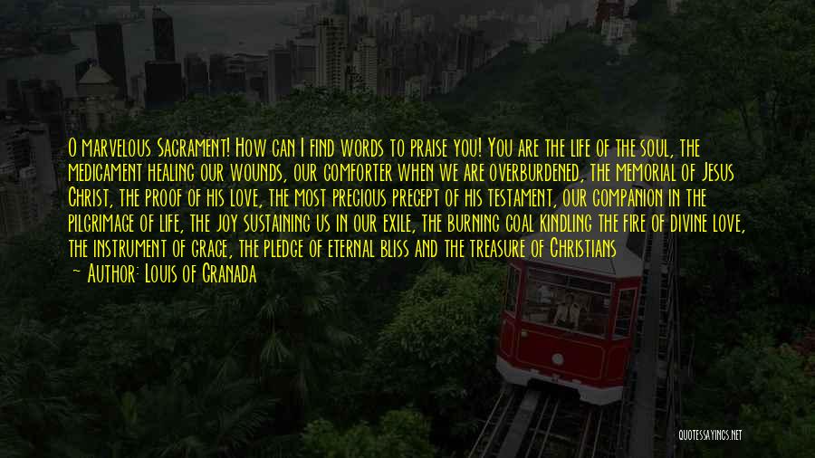 Louis Of Granada Quotes: O Marvelous Sacrament! How Can I Find Words To Praise You! You Are The Life Of The Soul, The Medicament