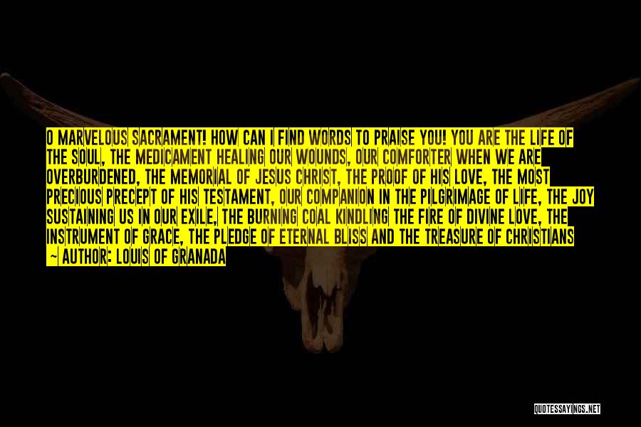 Louis Of Granada Quotes: O Marvelous Sacrament! How Can I Find Words To Praise You! You Are The Life Of The Soul, The Medicament