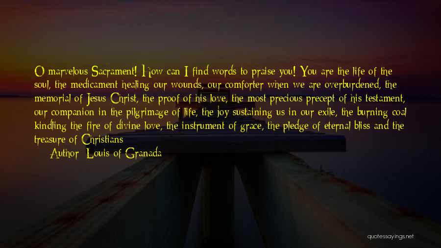 Louis Of Granada Quotes: O Marvelous Sacrament! How Can I Find Words To Praise You! You Are The Life Of The Soul, The Medicament