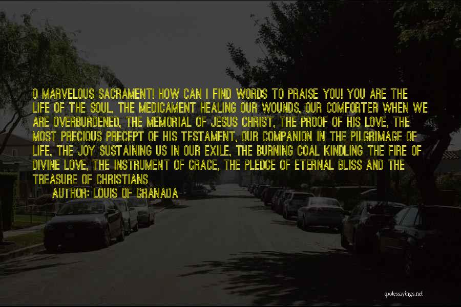 Louis Of Granada Quotes: O Marvelous Sacrament! How Can I Find Words To Praise You! You Are The Life Of The Soul, The Medicament