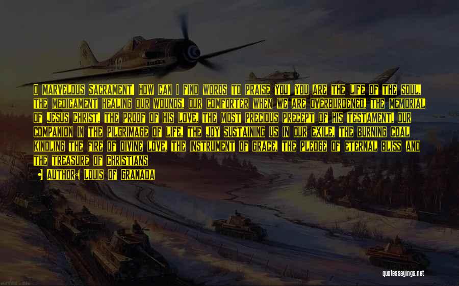 Louis Of Granada Quotes: O Marvelous Sacrament! How Can I Find Words To Praise You! You Are The Life Of The Soul, The Medicament