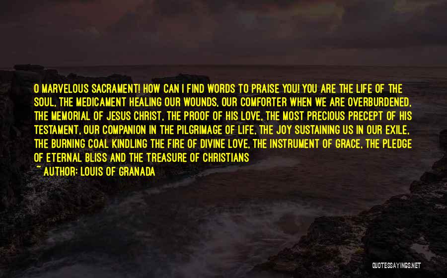 Louis Of Granada Quotes: O Marvelous Sacrament! How Can I Find Words To Praise You! You Are The Life Of The Soul, The Medicament