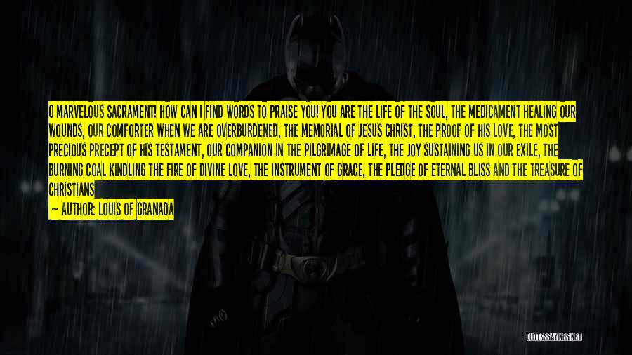 Louis Of Granada Quotes: O Marvelous Sacrament! How Can I Find Words To Praise You! You Are The Life Of The Soul, The Medicament