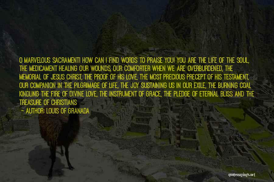 Louis Of Granada Quotes: O Marvelous Sacrament! How Can I Find Words To Praise You! You Are The Life Of The Soul, The Medicament