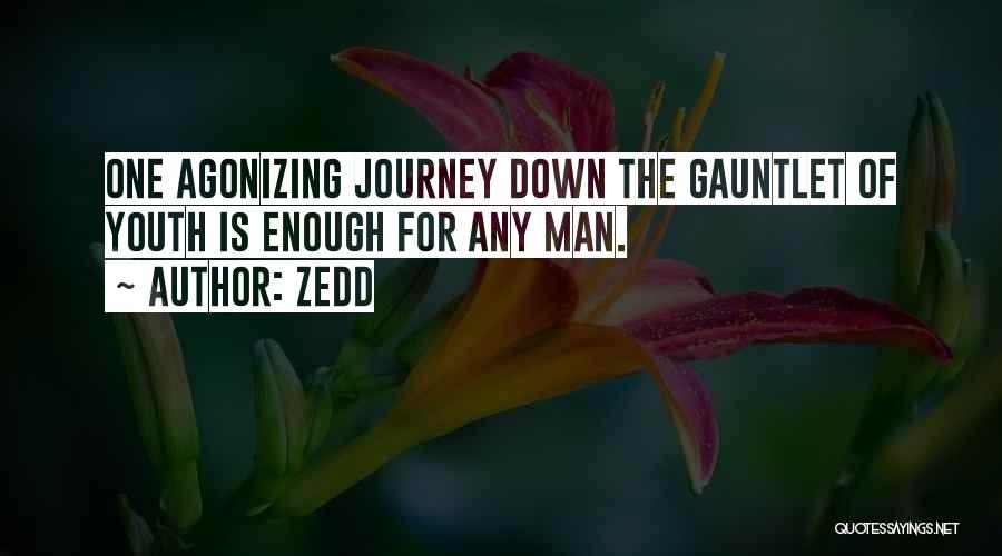 Zedd Quotes: One Agonizing Journey Down The Gauntlet Of Youth Is Enough For Any Man.