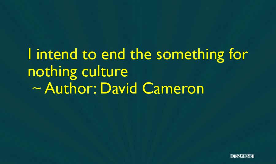David Cameron Quotes: I Intend To End The Something For Nothing Culture