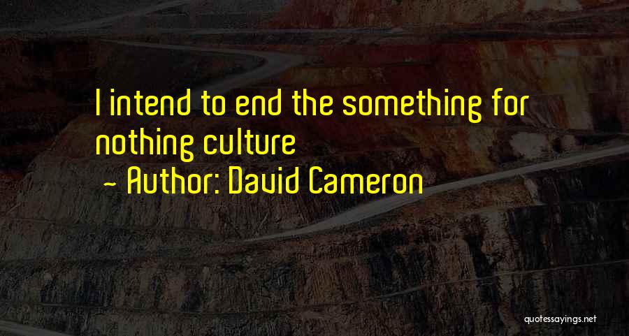 David Cameron Quotes: I Intend To End The Something For Nothing Culture