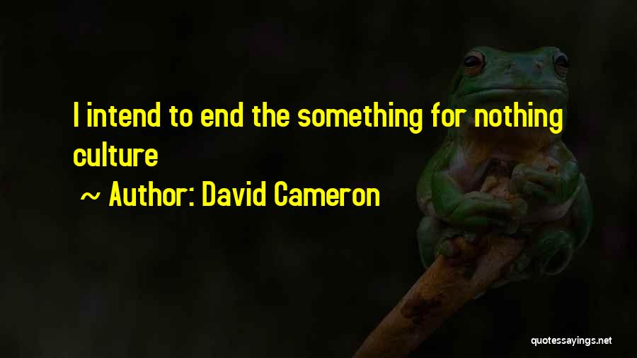 David Cameron Quotes: I Intend To End The Something For Nothing Culture