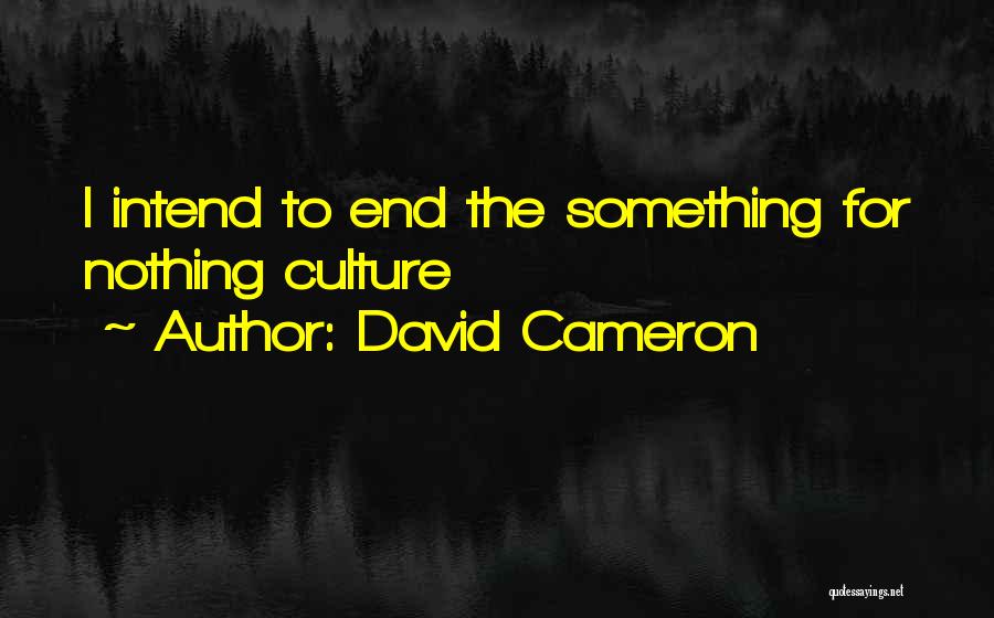 David Cameron Quotes: I Intend To End The Something For Nothing Culture