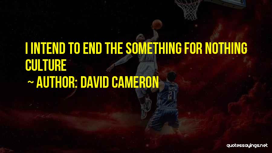 David Cameron Quotes: I Intend To End The Something For Nothing Culture