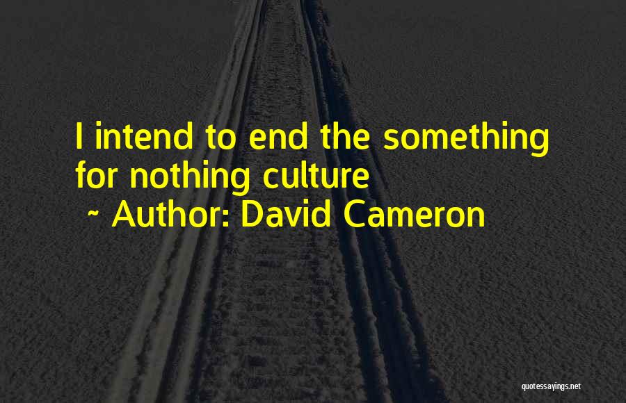 David Cameron Quotes: I Intend To End The Something For Nothing Culture