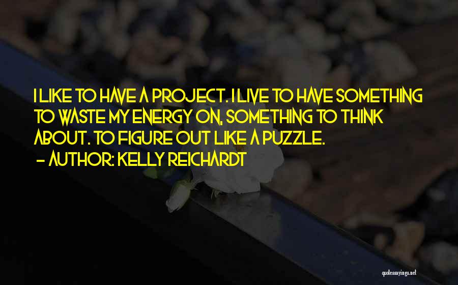 Kelly Reichardt Quotes: I Like To Have A Project. I Live To Have Something To Waste My Energy On, Something To Think About.