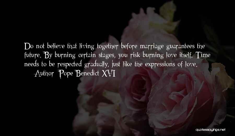 Pope Benedict XVI Quotes: Do Not Believe That Living Together Before Marriage Guarantees The Future. By Burning Certain Stages, You Risk Burning Love Itself.