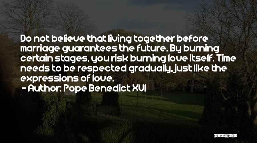 Pope Benedict XVI Quotes: Do Not Believe That Living Together Before Marriage Guarantees The Future. By Burning Certain Stages, You Risk Burning Love Itself.