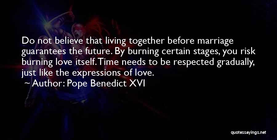 Pope Benedict XVI Quotes: Do Not Believe That Living Together Before Marriage Guarantees The Future. By Burning Certain Stages, You Risk Burning Love Itself.
