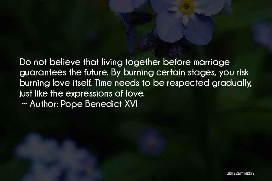 Pope Benedict XVI Quotes: Do Not Believe That Living Together Before Marriage Guarantees The Future. By Burning Certain Stages, You Risk Burning Love Itself.