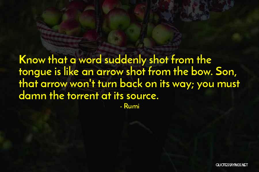 1320 Online Quotes By Rumi 1320 Online Quotes By Rumi