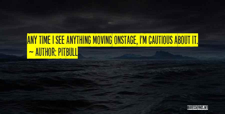 Pitbull Quotes: Any Time I See Anything Moving Onstage, I'm Cautious About It.