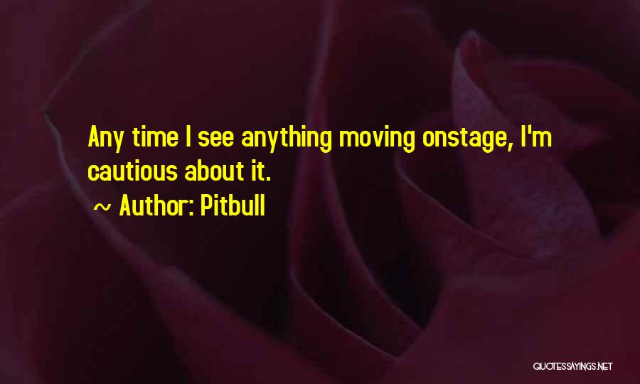 Pitbull Quotes: Any Time I See Anything Moving Onstage, I'm Cautious About It.