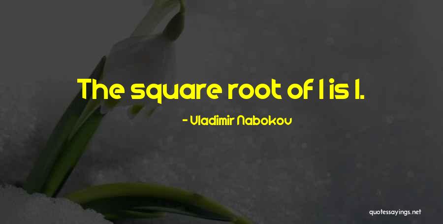 13210 Quotes By Vladimir Nabokov 13210 Quotes By Vladimir Nabokov