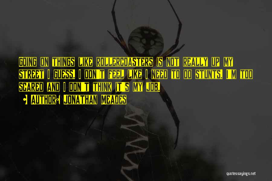 Jonathan Meades Quotes: Going On Things Like Rollercoasters Is Not Really Up My Street I Guess. I Don't Feel Like I Need To