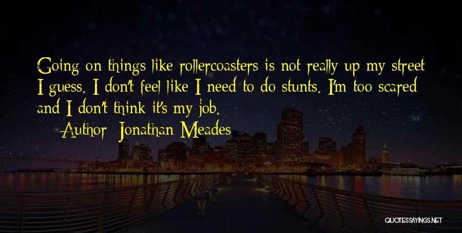 Jonathan Meades Quotes: Going On Things Like Rollercoasters Is Not Really Up My Street I Guess. I Don't Feel Like I Need To