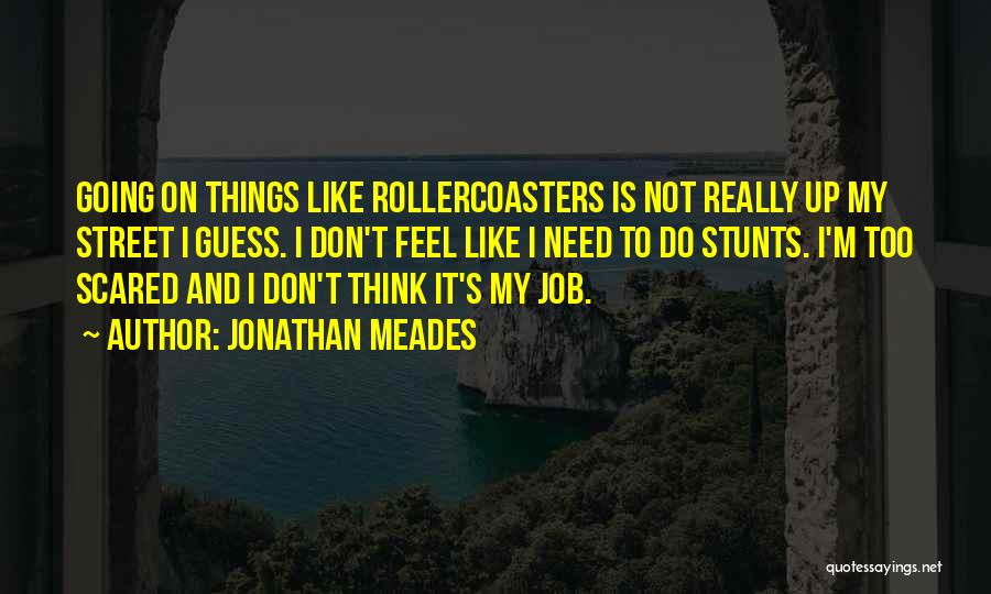 Jonathan Meades Quotes: Going On Things Like Rollercoasters Is Not Really Up My Street I Guess. I Don't Feel Like I Need To