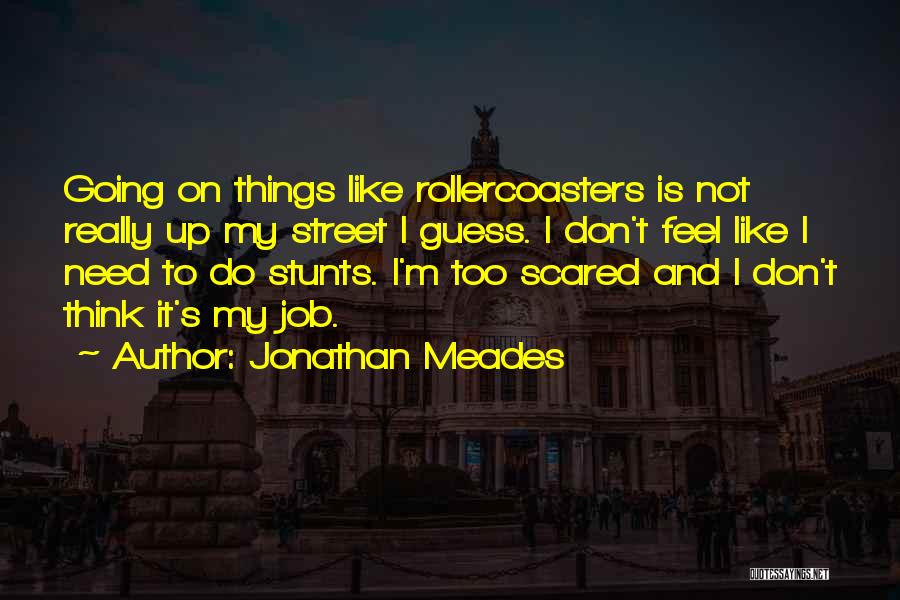 Jonathan Meades Quotes: Going On Things Like Rollercoasters Is Not Really Up My Street I Guess. I Don't Feel Like I Need To