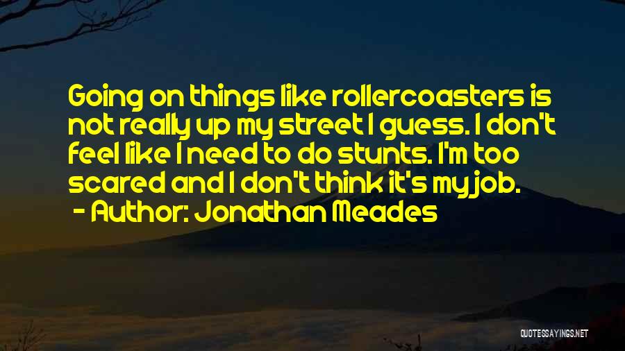 Jonathan Meades Quotes: Going On Things Like Rollercoasters Is Not Really Up My Street I Guess. I Don't Feel Like I Need To