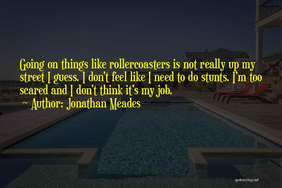 Jonathan Meades Quotes: Going On Things Like Rollercoasters Is Not Really Up My Street I Guess. I Don't Feel Like I Need To