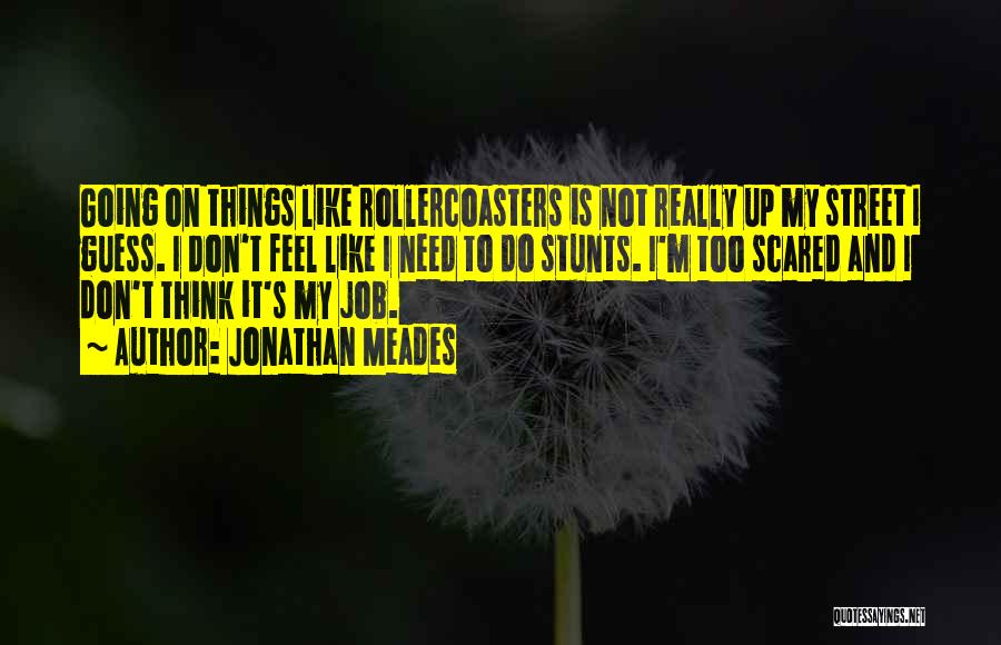 Jonathan Meades Quotes: Going On Things Like Rollercoasters Is Not Really Up My Street I Guess. I Don't Feel Like I Need To