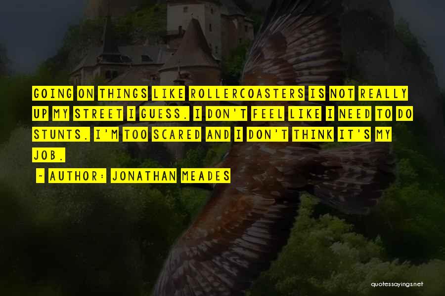 Jonathan Meades Quotes: Going On Things Like Rollercoasters Is Not Really Up My Street I Guess. I Don't Feel Like I Need To