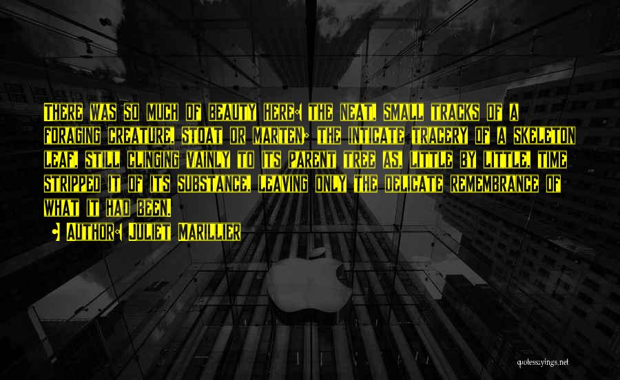 Juliet Marillier Quotes: There Was So Much Of Beauty Here: The Neat, Small Tracks Of A Foraging Creature, Stoat Or Marten; The Inticate