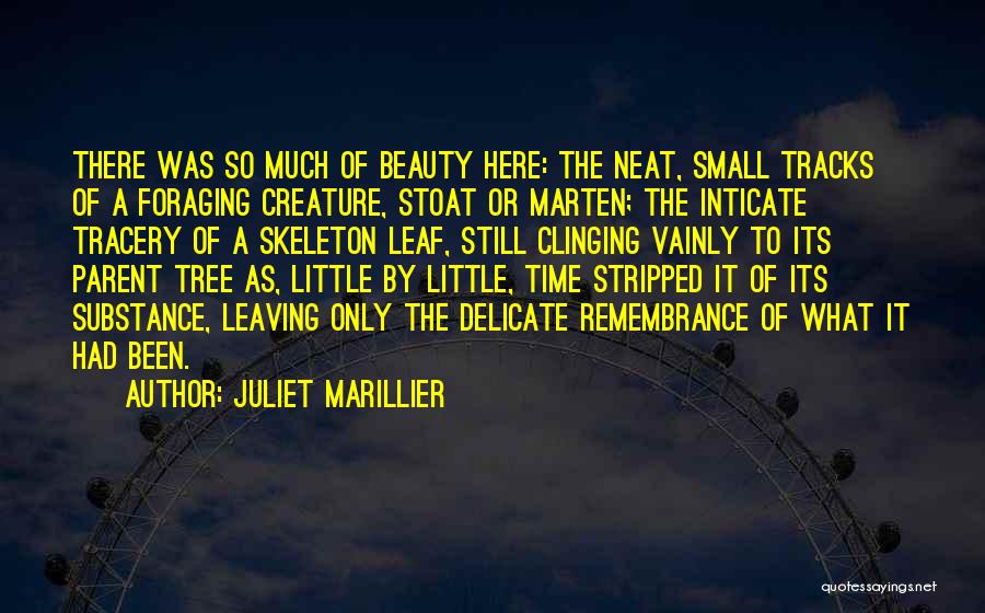 Juliet Marillier Quotes: There Was So Much Of Beauty Here: The Neat, Small Tracks Of A Foraging Creature, Stoat Or Marten; The Inticate