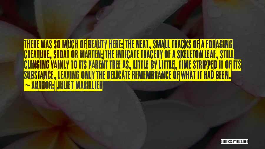 Juliet Marillier Quotes: There Was So Much Of Beauty Here: The Neat, Small Tracks Of A Foraging Creature, Stoat Or Marten; The Inticate