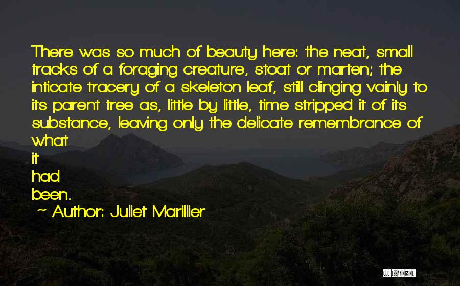 Juliet Marillier Quotes: There Was So Much Of Beauty Here: The Neat, Small Tracks Of A Foraging Creature, Stoat Or Marten; The Inticate