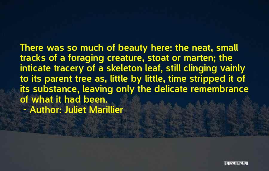 Juliet Marillier Quotes: There Was So Much Of Beauty Here: The Neat, Small Tracks Of A Foraging Creature, Stoat Or Marten; The Inticate