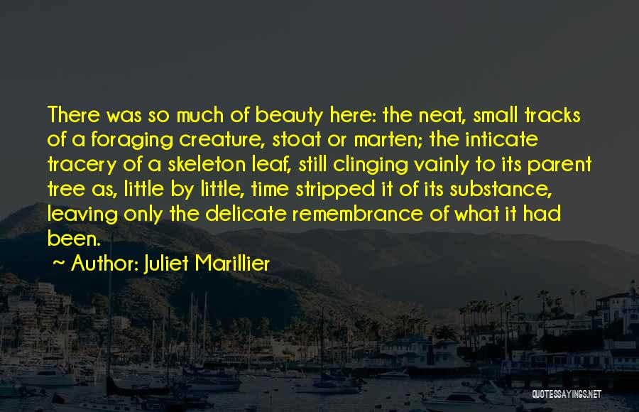Juliet Marillier Quotes: There Was So Much Of Beauty Here: The Neat, Small Tracks Of A Foraging Creature, Stoat Or Marten; The Inticate