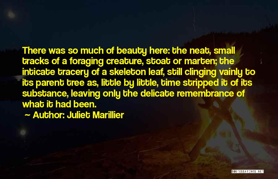 Juliet Marillier Quotes: There Was So Much Of Beauty Here: The Neat, Small Tracks Of A Foraging Creature, Stoat Or Marten; The Inticate