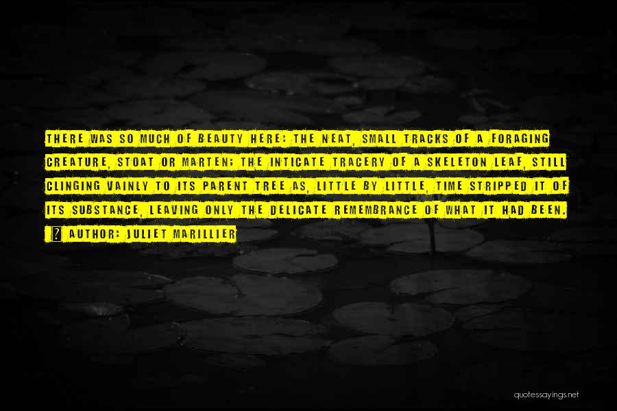 Juliet Marillier Quotes: There Was So Much Of Beauty Here: The Neat, Small Tracks Of A Foraging Creature, Stoat Or Marten; The Inticate