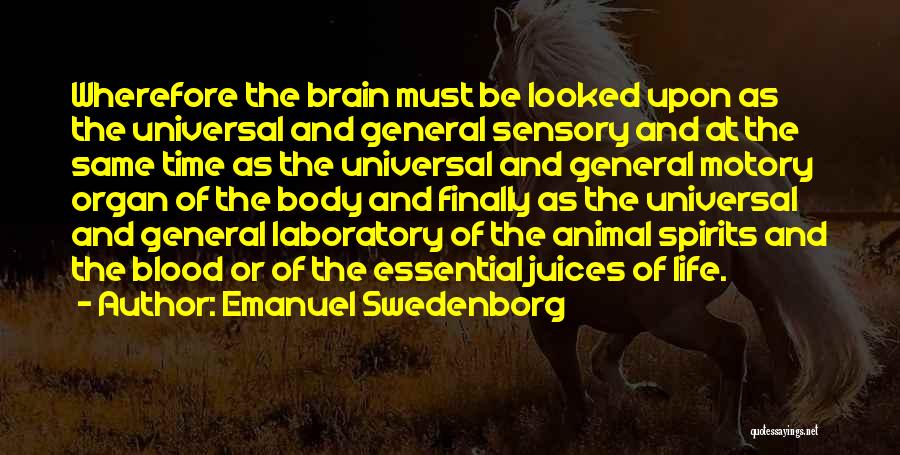 Emanuel Swedenborg Quotes: Wherefore The Brain Must Be Looked Upon As The Universal And General Sensory And At The Same Time As The