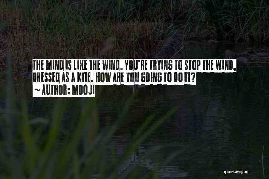 Mooji Quotes: The Mind Is Like The Wind. You're Trying To Stop The Wind, Dressed As A Kite. How Are You Going