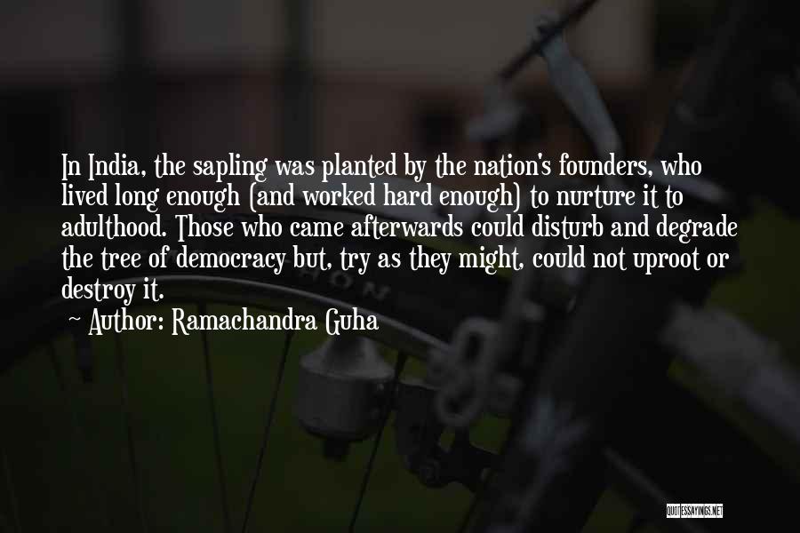 Ramachandra Guha Quotes: In India, The Sapling Was Planted By The Nation's Founders, Who Lived Long Enough (and Worked Hard Enough) To Nurture