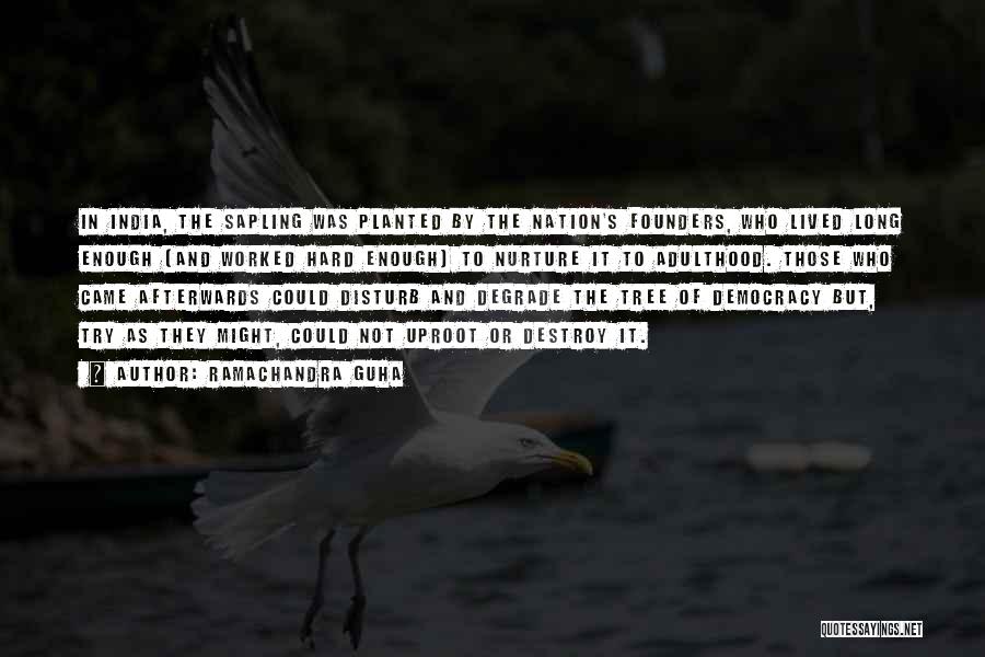 Ramachandra Guha Quotes: In India, The Sapling Was Planted By The Nation's Founders, Who Lived Long Enough (and Worked Hard Enough) To Nurture