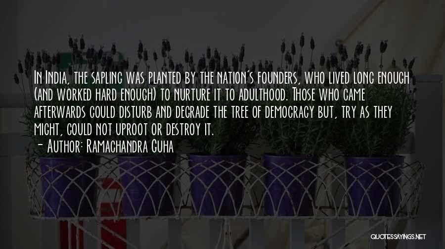 Ramachandra Guha Quotes: In India, The Sapling Was Planted By The Nation's Founders, Who Lived Long Enough (and Worked Hard Enough) To Nurture