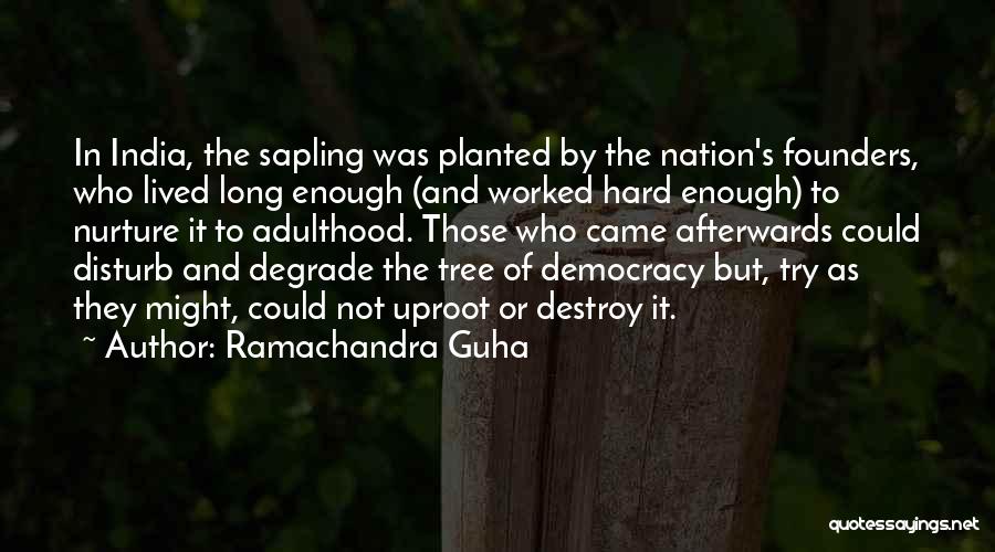 Ramachandra Guha Quotes: In India, The Sapling Was Planted By The Nation's Founders, Who Lived Long Enough (and Worked Hard Enough) To Nurture