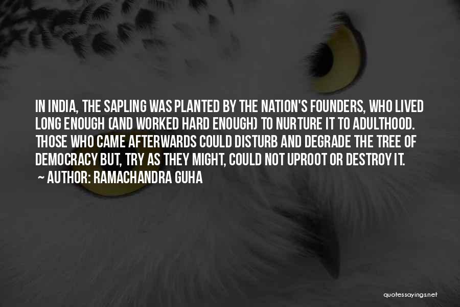 Ramachandra Guha Quotes: In India, The Sapling Was Planted By The Nation's Founders, Who Lived Long Enough (and Worked Hard Enough) To Nurture