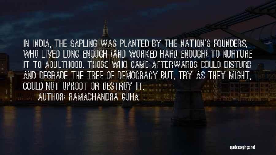 Ramachandra Guha Quotes: In India, The Sapling Was Planted By The Nation's Founders, Who Lived Long Enough (and Worked Hard Enough) To Nurture