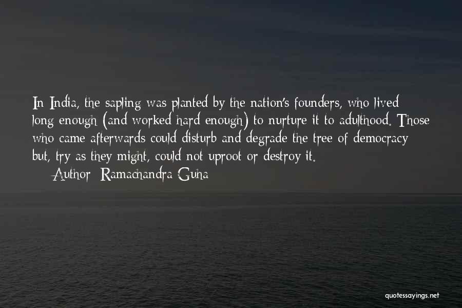 Ramachandra Guha Quotes: In India, The Sapling Was Planted By The Nation's Founders, Who Lived Long Enough (and Worked Hard Enough) To Nurture